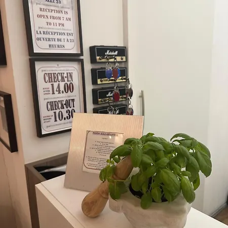 호텔 Red And Blues Music